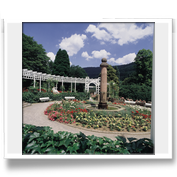 Rosengarten Bad Wildbad