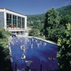 Vital Therme Bad Wildbad